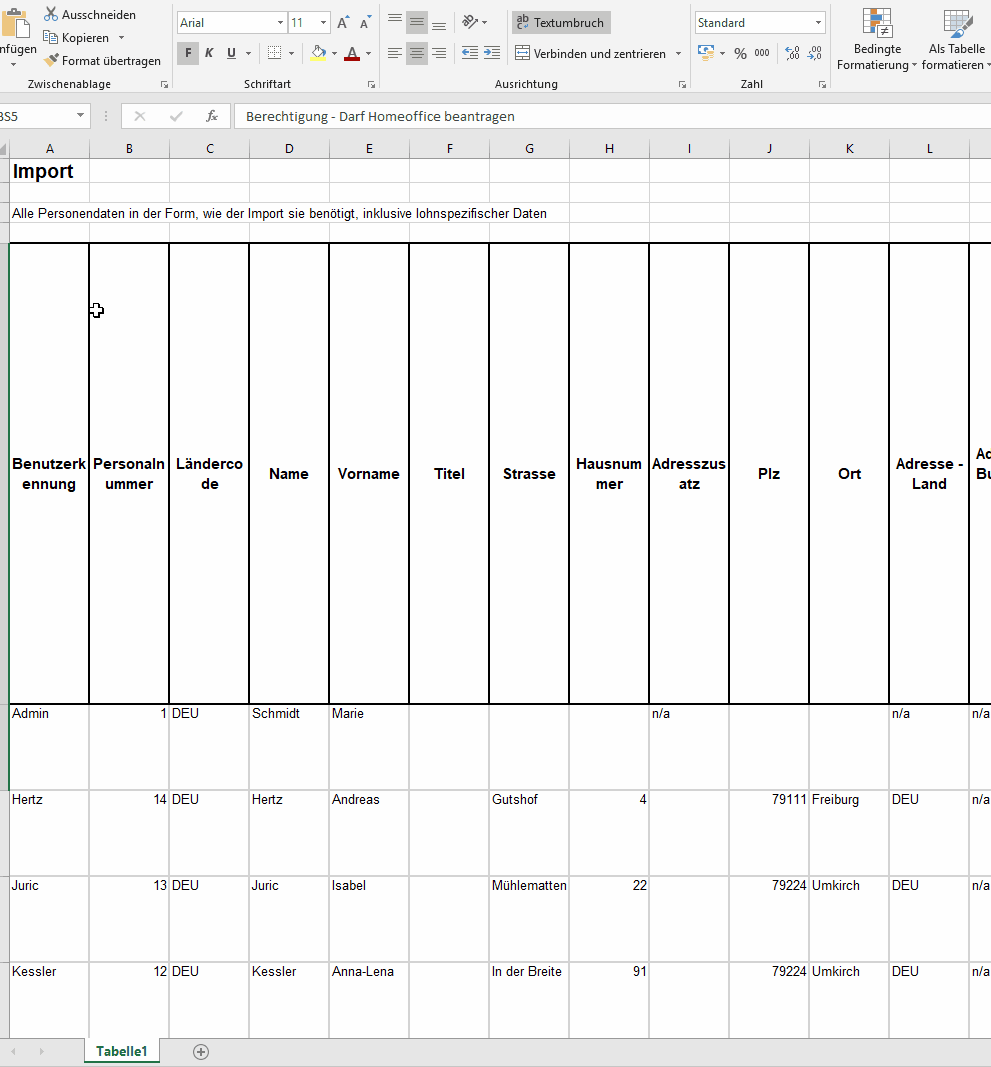 Stammdatenimport1