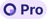 HR WORKS Pro-Badge